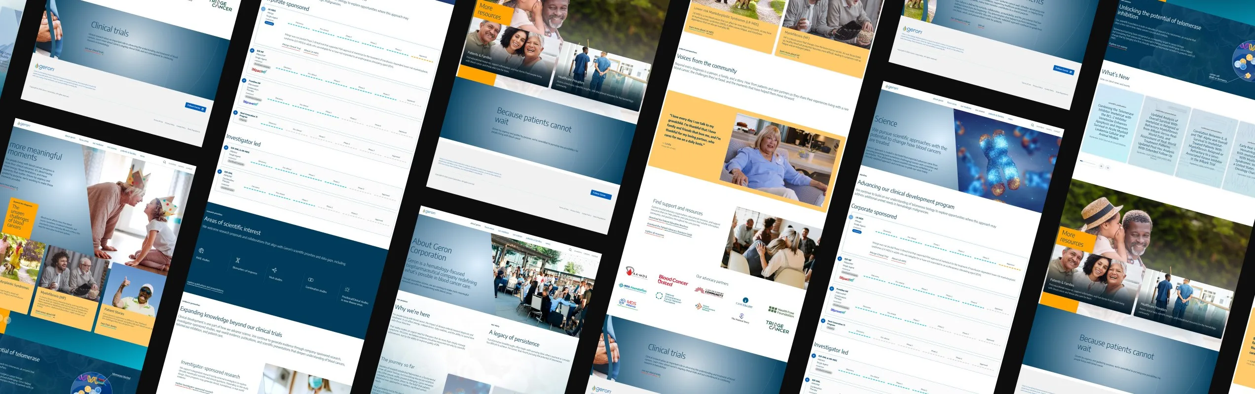 Geron website design montage