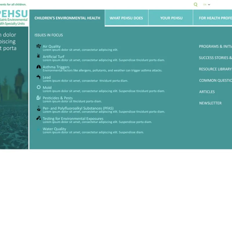 PEHSU website design close-up