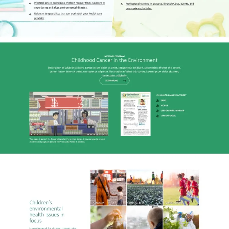 PEHSU website design close-up