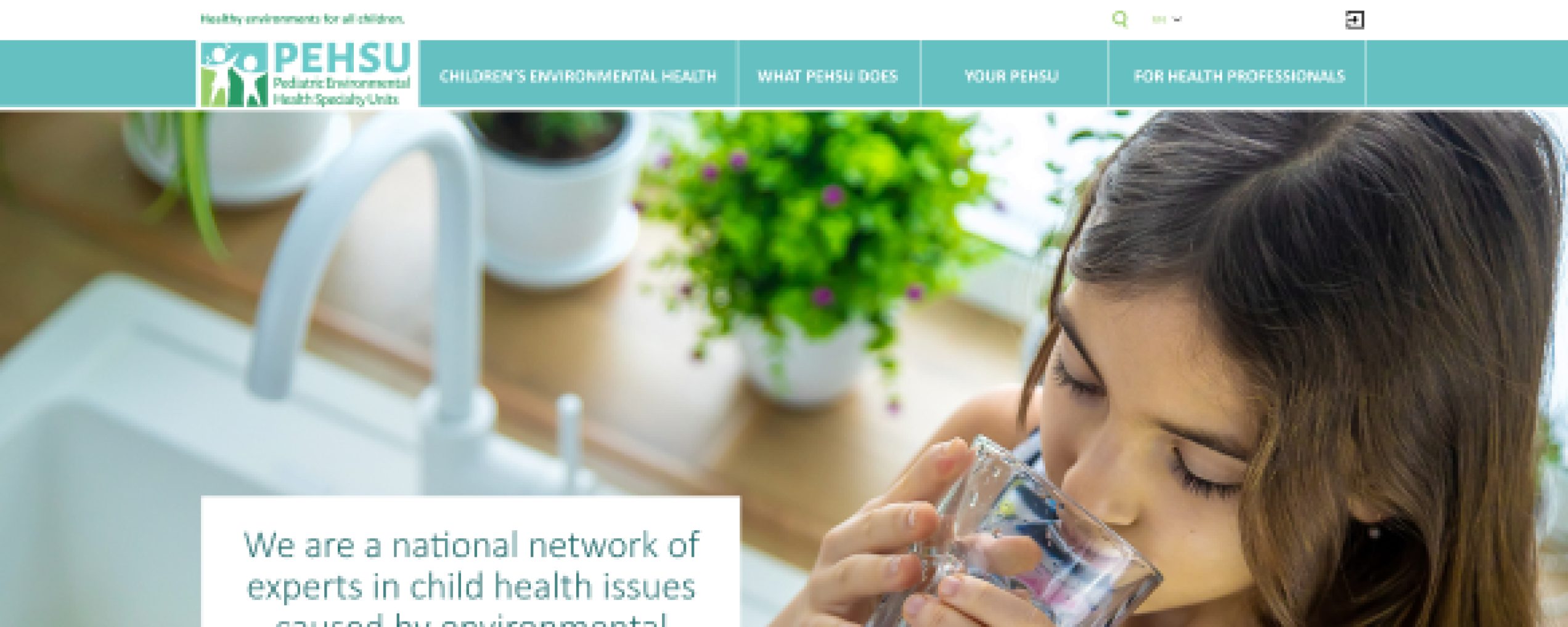 PEHSU National Website & Intranet